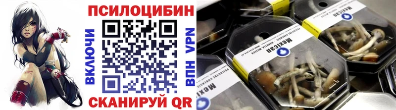 Купить закладки Болгар Псилоцибиновые грибы Magic Shrooms